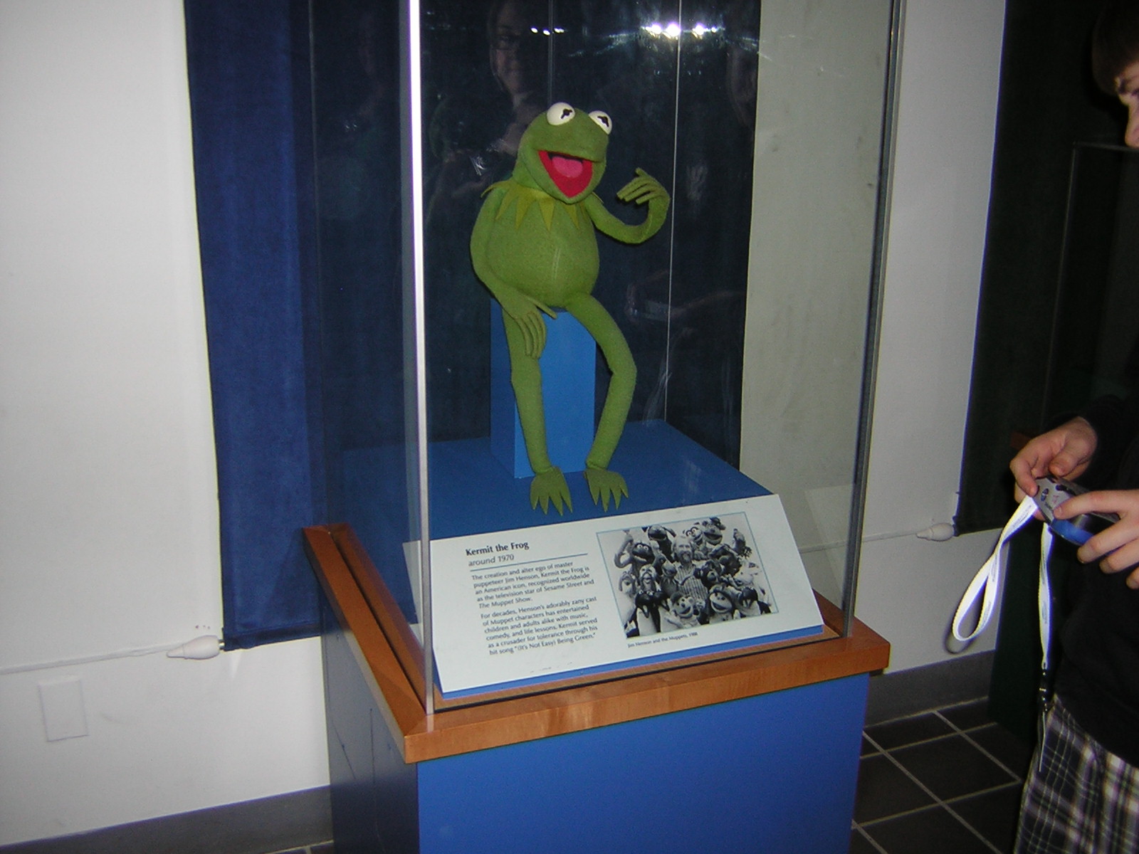 actual kermit puppet